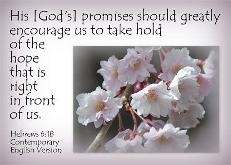 Fighting Storms - Birthday Bible Verses