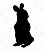 Image result for Wild Rabbit Types
