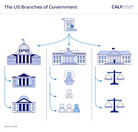 How To Draw Legislative Branch