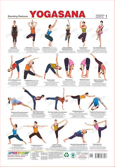 spectrum Yogasana Standing Postures Polypropylene Chart : Amazon.in ...