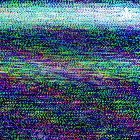 2006 Volleyball Incident - What Was It and Did It Even Happen ...