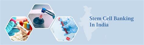 What is Stem Cell Banking? Know Significance of Stem Cell Preservation