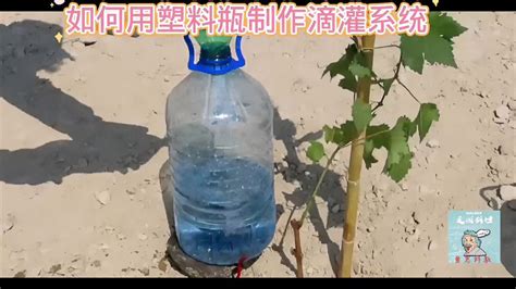 如何用塑料瓶制作滴灌系统#小学手工制作大全-生活视频-搜狐视频