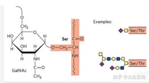 肽键的合成方法 - 知乎