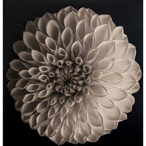 Toile whill 250 x 4 x 258 cm Blanc, Noir | Leroy Merlin