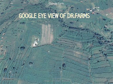 Doctor Farms - Gallery