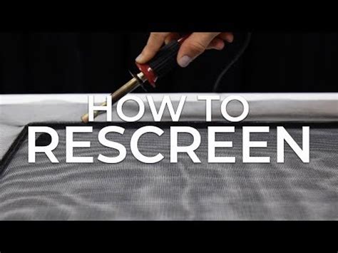 ReliaBilt Replacement Window Installation 的图像结果