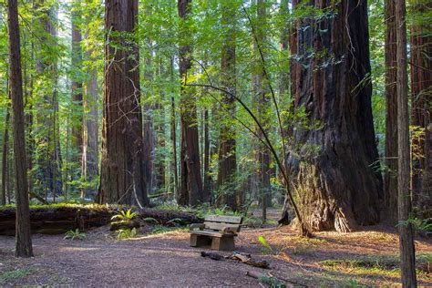 Nature Trail 的图像结果