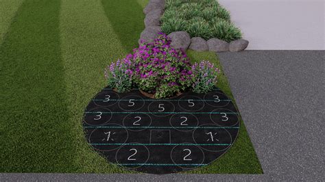 Tall Grasses For Landscaping Your Yard | Plant By Number