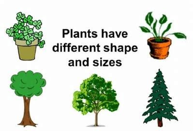 Plants Around Us Class 2 Notes Science Free PDF