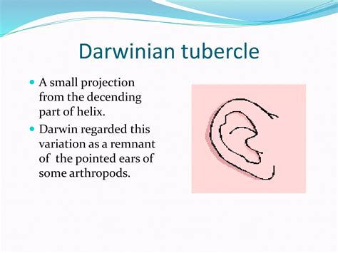 EMBRYOLOGY AND MALFORMATION OF EAR | PPTX