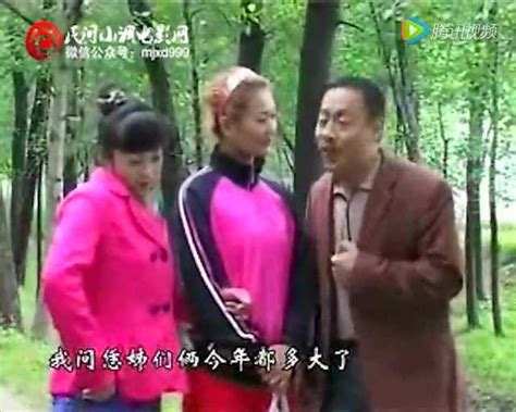民间小调电影网 骚儿媳骂公婆 下集 张芳_腾讯视频