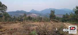 Lands & Plots for sale in Wayanad | OLX