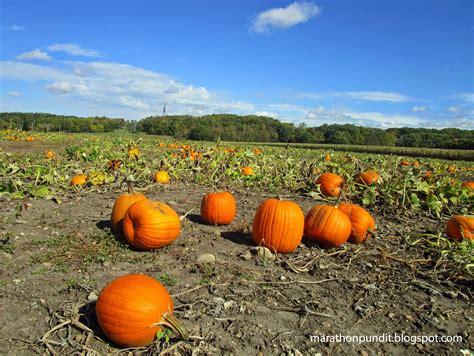 Pumpkin Patch Daycare Morton Il - freewarescapes