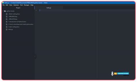 How to Begin Python Code 的图像结果