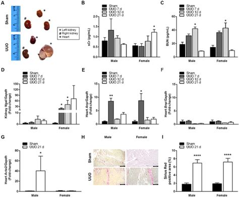 Biomedicines | August 2024 - Browse Articles
