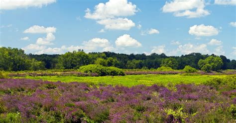 Terre Haute Hotels from ₹ 3,546/night | Compare Best Hotels in Terre ...