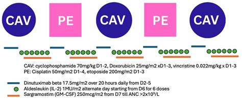 End-of-Induction Response and Tolerability of High-Risk Neuroblastoma ...