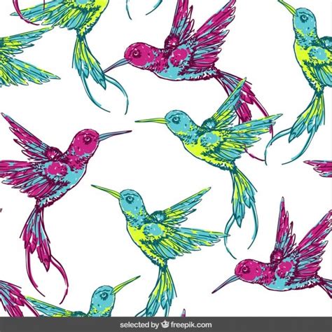 Page 2 | Asas beija flor Vectors - Download Free High-Quality Vectors ...