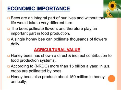 Social organization in honey bees | PPTX