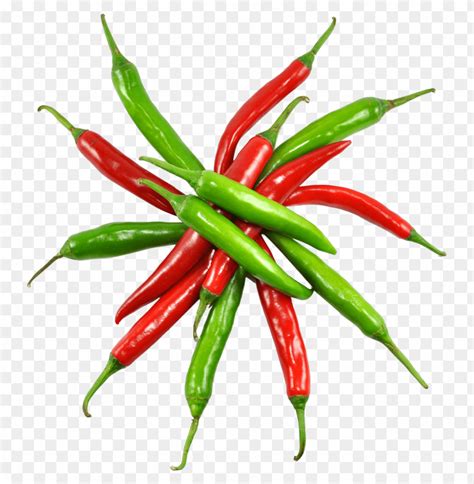 Download red and green chilli png - Free PNG Images | TOPpng
