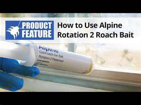 Image result for Function Input/Output Example