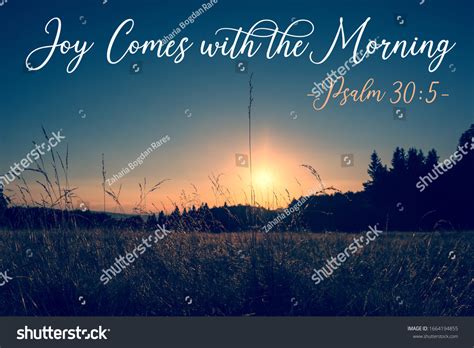 Joy Comes Morning Photos and Images