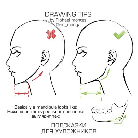 Side Profile Drawing Reference - Drawing Tips Guide
