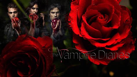Vampire Diaries Wallpaper Season 4
