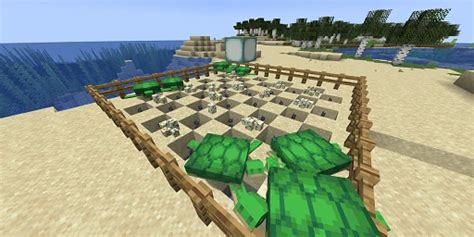 Turtle Farm Minecraft Tutorial 的图像结果