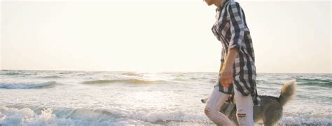 Homepage | Braden River Animal Hospital