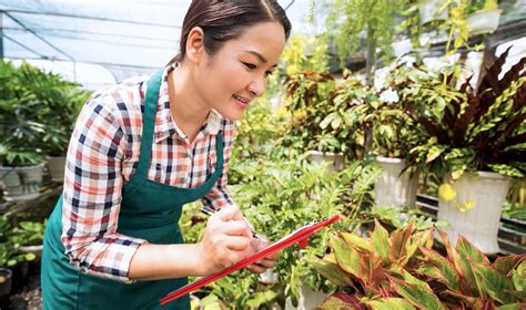 What Do Shrubs Eat at Thomas Castro blog