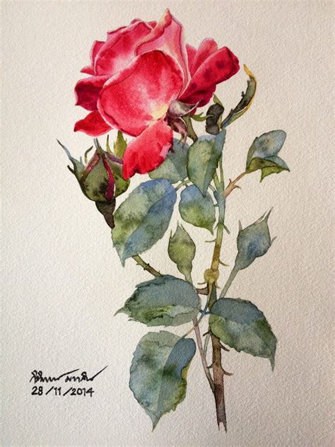 My rose | Flower art painting, Watercolor flower art, Watercolor art ...