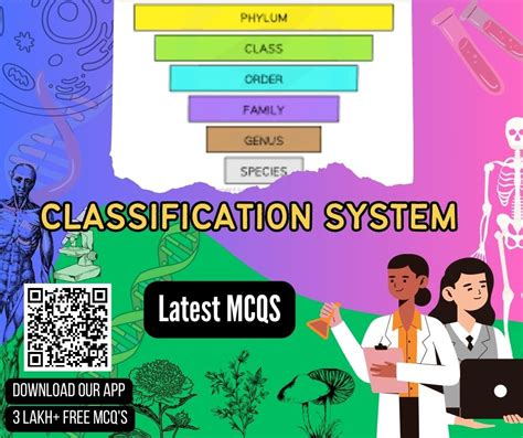 Image result for Classification System Flashcards