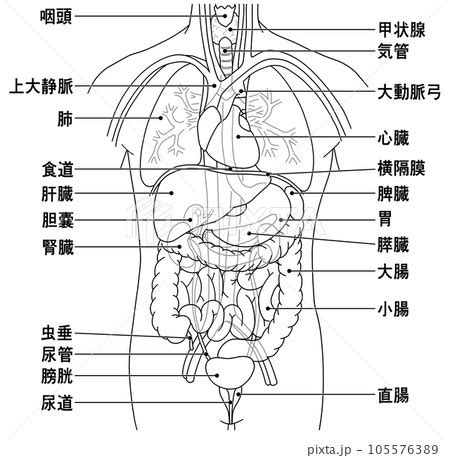 Image result for Computer Output Chart