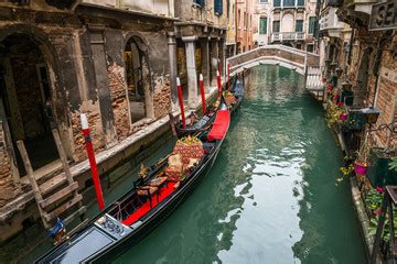 Image result for Streamlit App Maps Data Examples