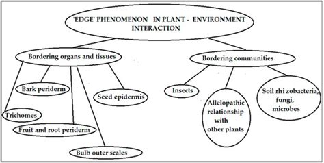 The ‘Edge Effect’ Phenomenon in Plants: Morphological, Biochemical and ...