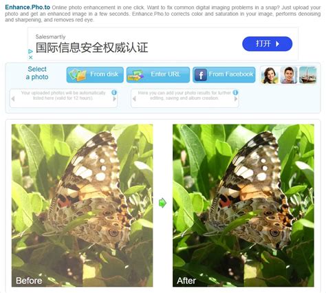 Camera Low Resolution Canon 的图像结果