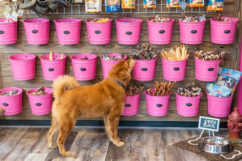 Woof Gang Bakery & Grooming | Dania Pointe