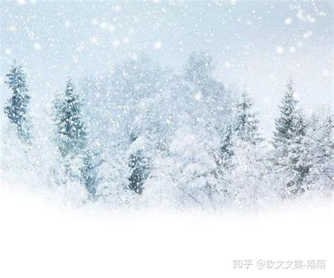 哈尔滨抖音直播：每年冬天雪乡为什么会在抖音_短视频代运营_抖燃传媒