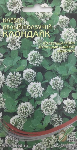 Дом Семян Клевер белый ползучий Клондайк - купить по выгодным ценам в ...