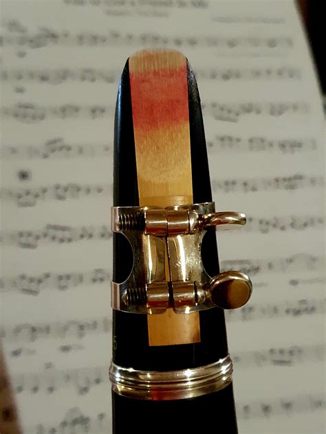 Where are my fellow stained reed girlies at? 💋 : r/Clarinet