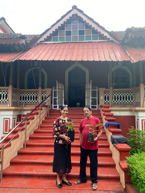 Brazilian, French, Goan connection to promote Tabebuia trees in Goa ...