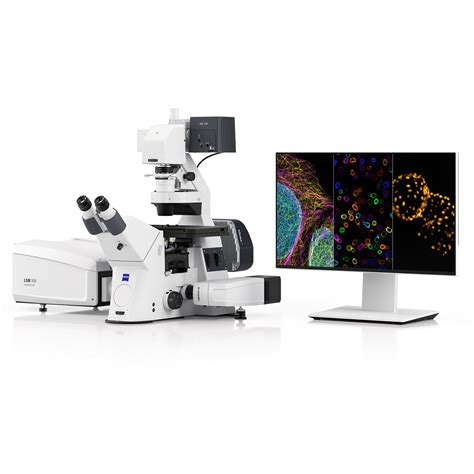 ZEISS LSM 910 | Advanced confocal imaging for your research