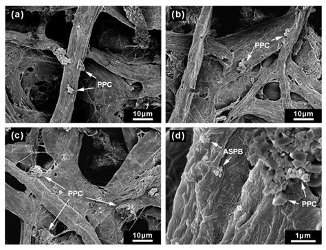 Application of Spherical Polyelectrolyte Brushes Microparticle System ...