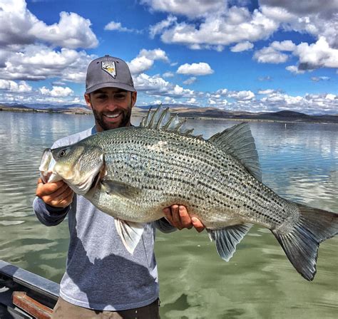 Nevada Discovery Trail - Nevada Department of Wildlife