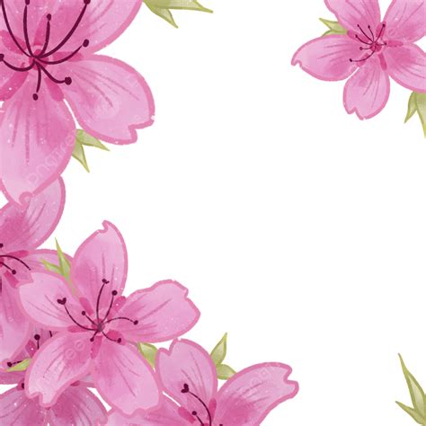 Pink Cherry Blossom Flower Background, Cherry Blossom, Flower ...