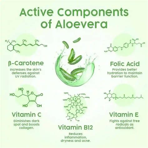 Fresh Look Aloe Vera Face Wash, with Lemon Essential Oil, Mild ...