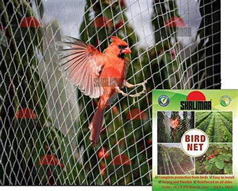 PIGEON CONTROL Anti Bird Net (8 feet x 12 feet),White : Amazon.in ...