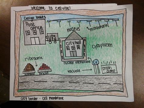 Animal Cell City Analogy Project